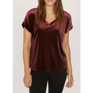 SANCTUARY Holy V-Neck Velvet Burgundy Blouse